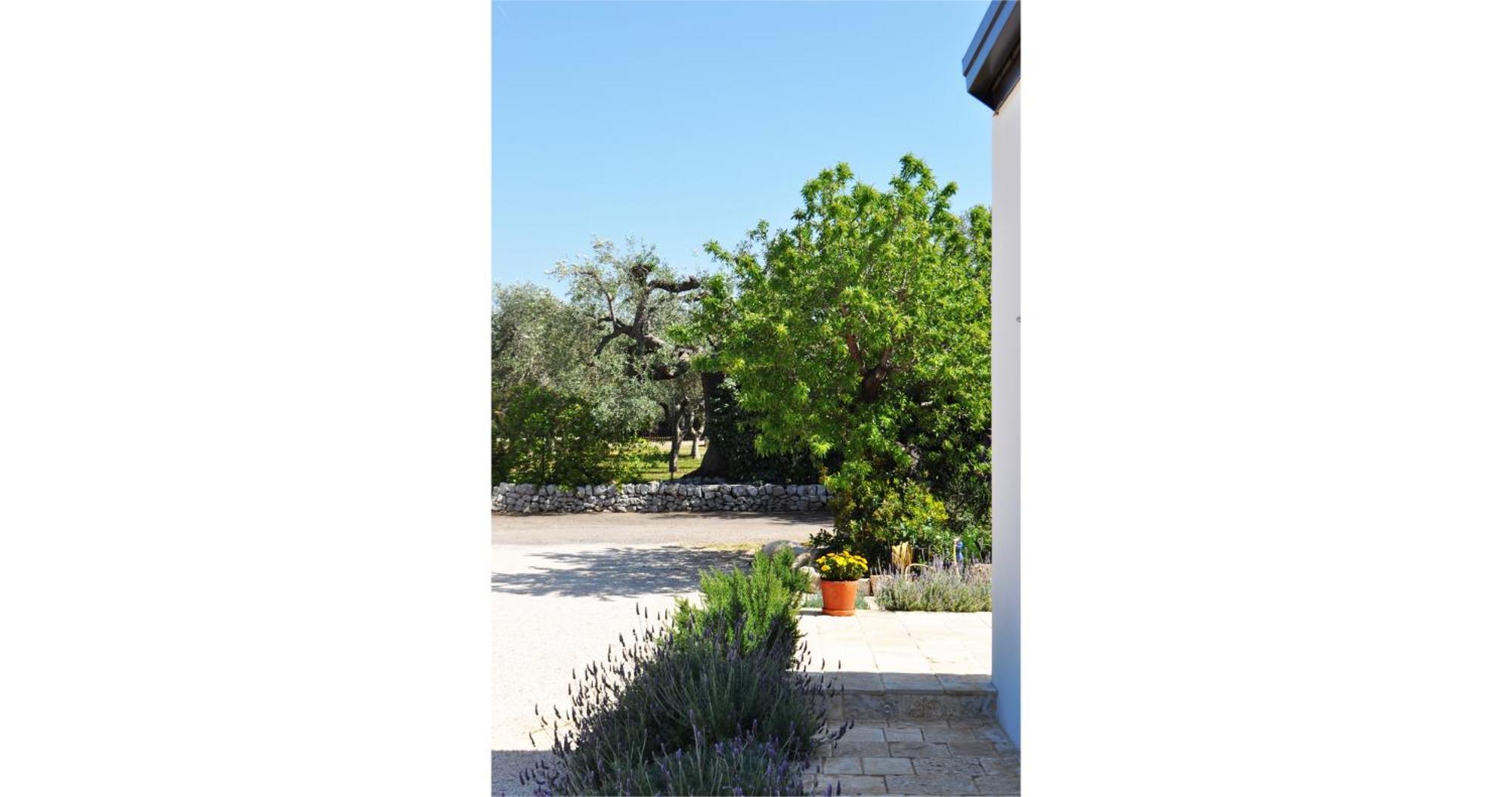 Bed and Breakfast Casale Petrarolo Monopoli Zewnętrze zdjęcie