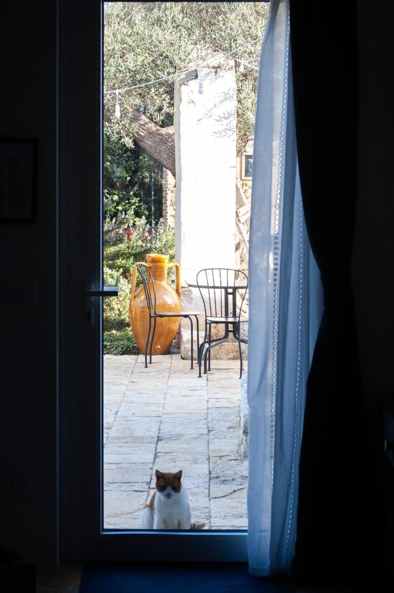 Bed and Breakfast Casale Petrarolo Monopoli Zewnętrze zdjęcie
